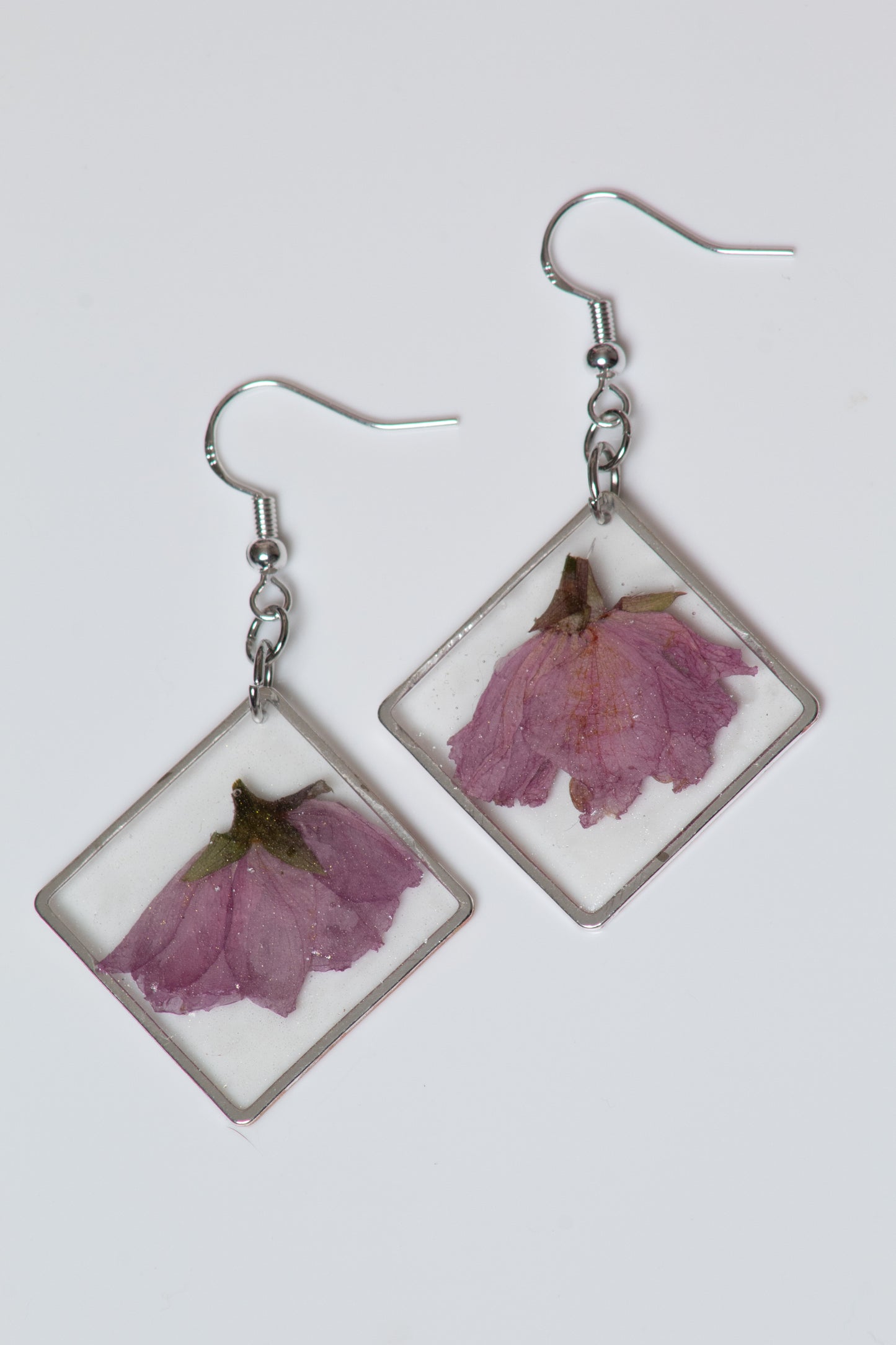 Cherry Blossoms